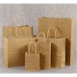 Large Paper Shopping Bags can custom size and your logo