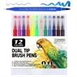 Dual Brush Marker Pens 12 Colors Set