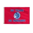 Indian Mascot Flags