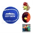 Pet Fetch Toy Tennis Ball