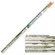 Loly Money Themed Pencil