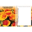 Standard Series California Poppy Flower Seeds