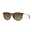 Ray-Ban Polarized Erika Classic Sunglasses
