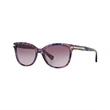 Coach Women's HC8132 Sunglasses