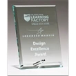 Elite Silver Pin Glass Award I