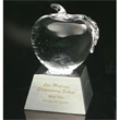 Glass apple award