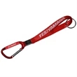 Lanyard