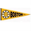 4.5" x 10" Felt Pennant