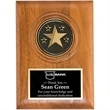 Small star medallion plaque