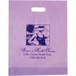 Frosted Die Cut Bag - Flexo Ink