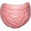 Intestine Stress Reliever