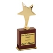 Capri Shooting Star Award